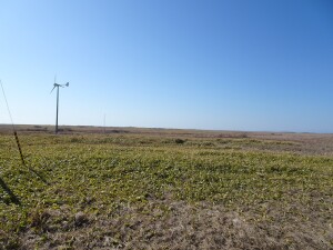 4日目　根室半島の先っぽは原っぱが広がる